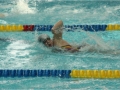 obraz14