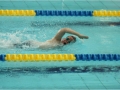 obraz29