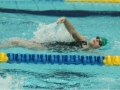 obraz50