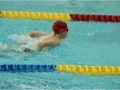 obraz71