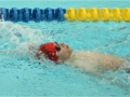 obraz91