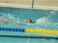obraz59