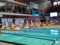 DSC00073 (1)