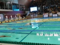DSC00138 (1)