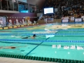 DSC00147 (1)
