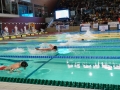 DSC00156 (1)