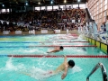 DSC00299 (1)