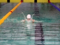 DSC01894 (1)