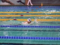 DSC02003 (1)