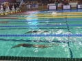 DSC03403 (1)