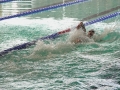 DSC03483 (1)