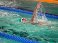 DSC04262 (1)