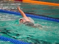 DSC04270 (1)