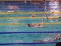 DSC04516 (1)