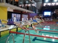 DSC04650 (1)