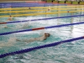 DSC04676 (1)