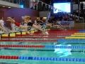 DSC05192 (1)