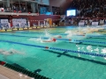 DSC06348 (1)