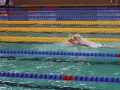 DSC07805 (1)