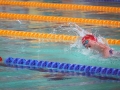 DSC07824 (1)