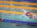 DSC07825 (1)
