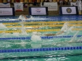 DSC08311 (1)