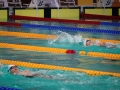 DSC08449 (1)
