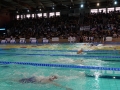 DSC09175 (1)