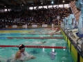 DSC09323 (1)